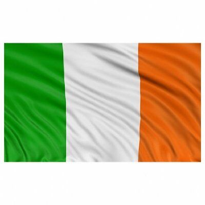 IRELAND FLAG BUNTING 9 metres 30 flags EIRE DUBLIN 