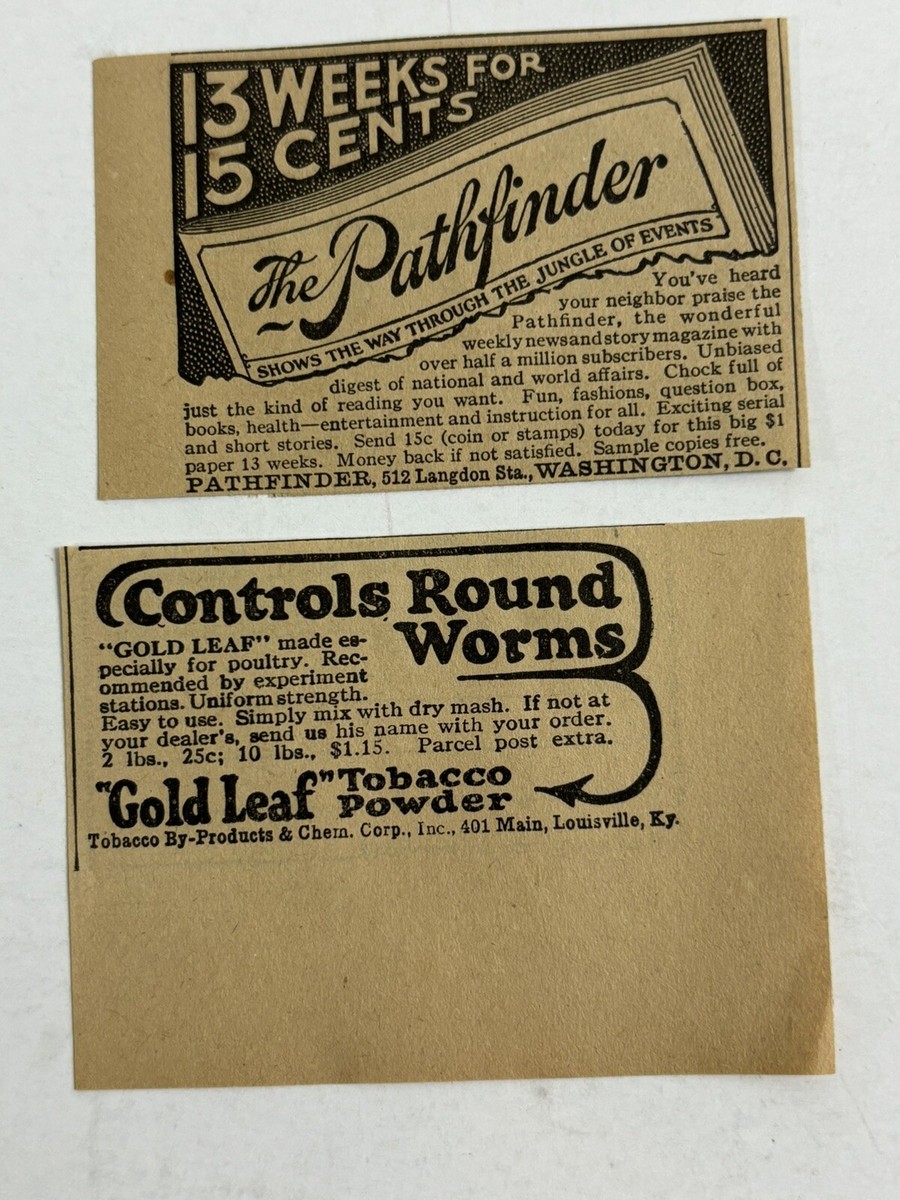 tobacco leaf powder 1924 Gold Leaf Tobacco Powder for Poultry 401 Main Louisville Ky paper  print ad