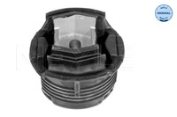 TrÄGerkissen DB T. W203 Hinten