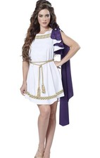 California Costume Grecian Toga Greek Goddess Size Medium M 8-10 475