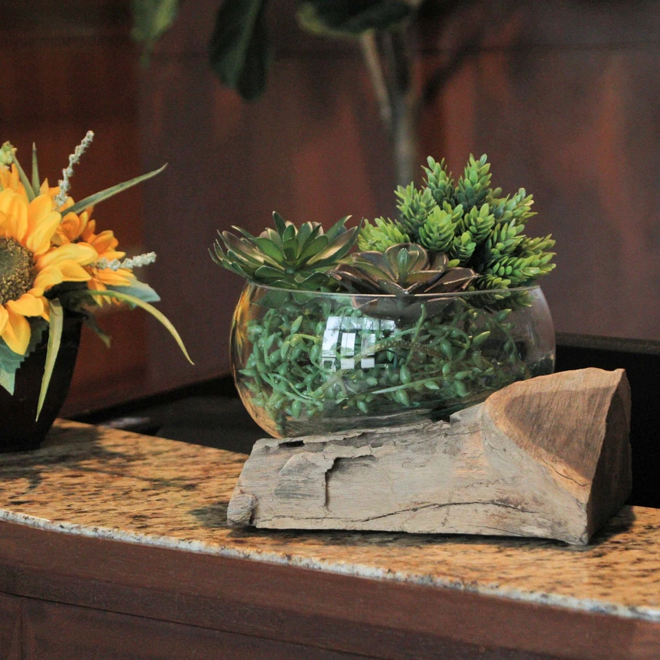 Cuenco escultórico de vidrio fundido sobre madera a la deriva de teca, florero, terrario Foto 4 de 4