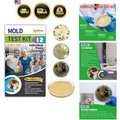 Mold  Kit for Home Within 12 Individual Tests,DIY Detector at Home, Surface M...