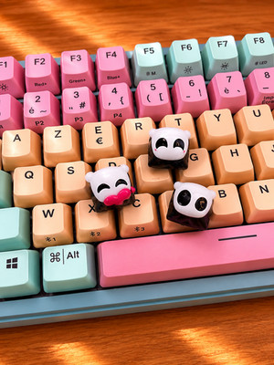 Hollow Knight Artisan Keycap Handmade Hand Painted MX Mechanische Tastatur Keycap