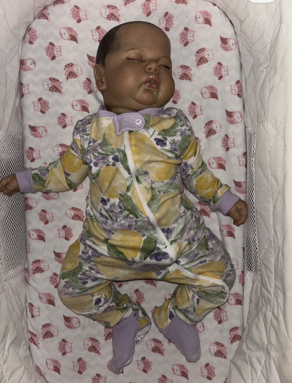 Pickle Kit Reborn Baby