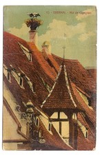 obernai nid de cigognes