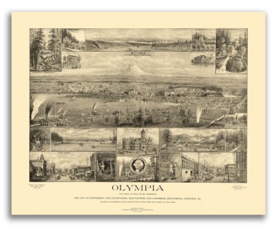 Olympia Washington 1903 Historic Panoramic Town Map - 20x24