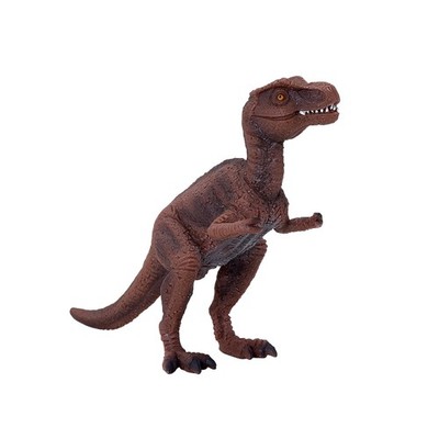 Science4you 387192 Tiere, Farbig