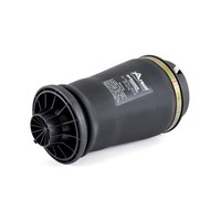 Luftfeder Fahrwerk Hinten Arnott A 2596 FÜR Mercedes Benz