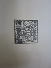 Picture 8 of 14