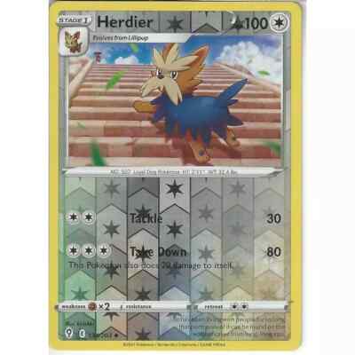 134/203 Herdier | Uncommon REVERSE HOLO Pokemon TCG Karte SWSH07 Evolving Skies
