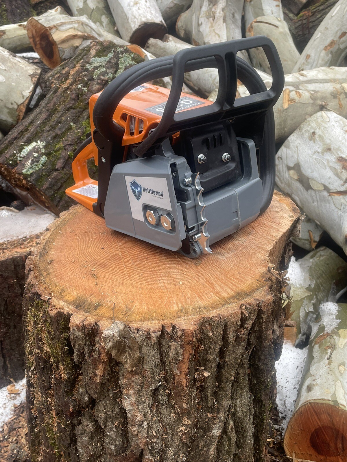 Holzfforma For Stihl Ms250 G255 Gasoline Chainsaw Power Head With Bar