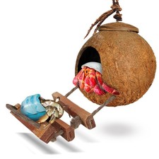 Hermit Crab Coco Hut with Ladder, Hamster  Hermit Crab Hideout, Coconut Hide...
