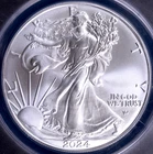 2024 Silver Eagle ANACS MS70 1 oz .999 Fine Silver $1 American Eagle