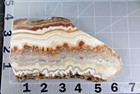 Crazy Lace Agate Slab -  15.5 Ounces - Lapidary - Display - Crafts - Collect — photo 2