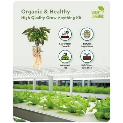 All-in-One Grow Anything Kit - 45 Sponges, Baskets, Domes