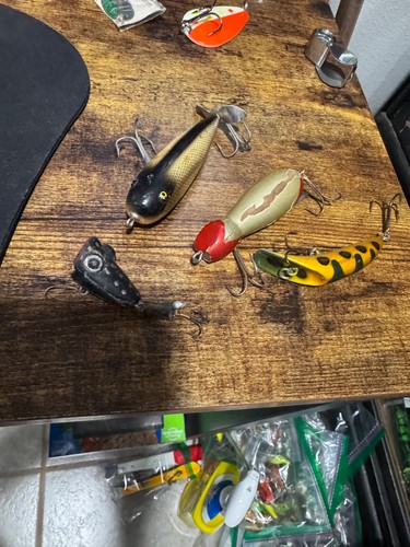 Lot de 3 Magnets CIGALE Pt Modèle
