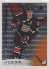 2019-20 Upper Deck SP Game Used CHL Edition Orange 37/199 Luka Burzan #61 7l6