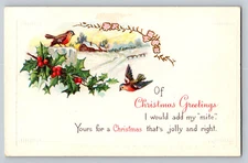 Christmas Greetings Embossed Postcard Winter Holly House Birds Unposted DVB