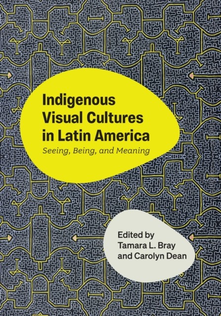 Indigenous Visual Cultures in Latin America (Hardback Book)