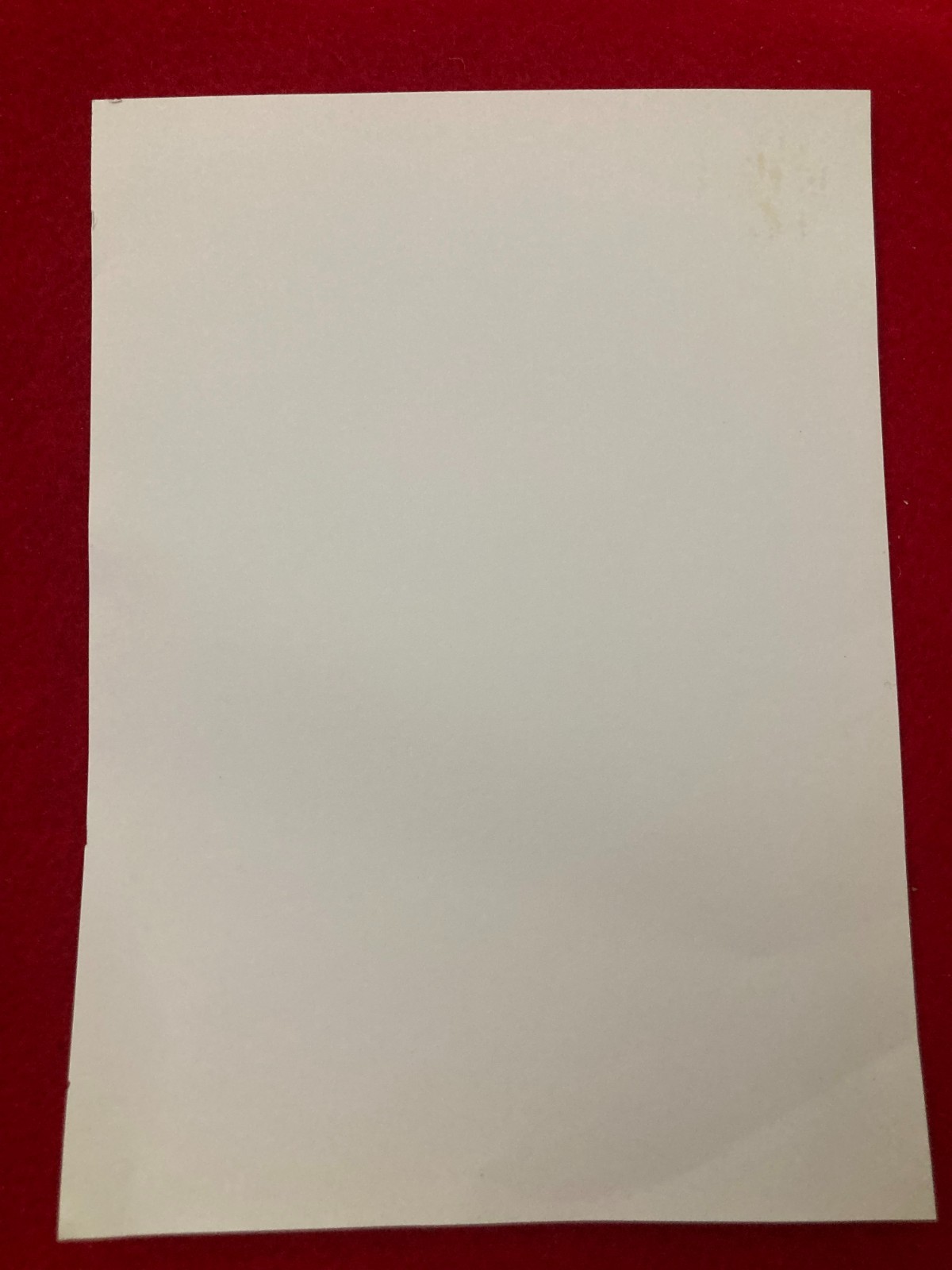 Foto 5 di 5