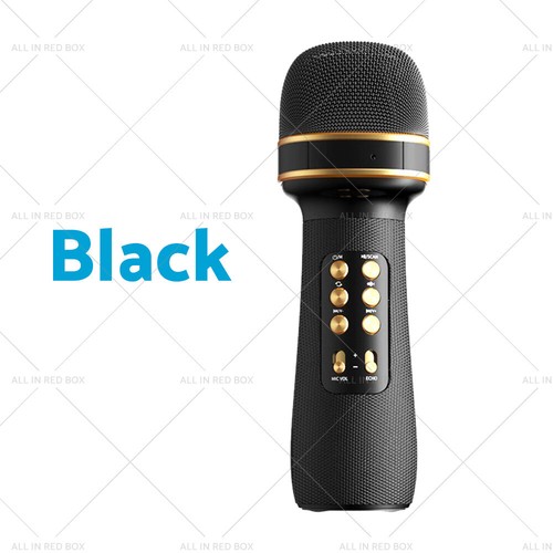 Wireless Blue-tooth Portable Karaoke Microphone Speaker Mic USB Speaker Portable - Picture 16 of 16