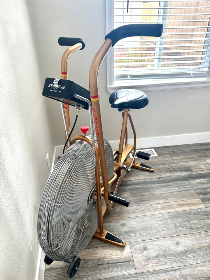 *BICICLETA DE EJERCICIO de doble acción Schwinn Airdyne dorada de colección con ESTANTE DE LECTURA SPEEDO Foto 4 de 4