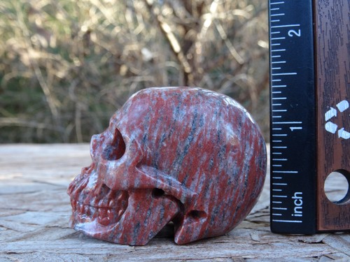 2.05" Eastern Jasper Stone Skull Hand Carved Realistic 3.2oz 89g Crystal Healing - Picture 10 of 12