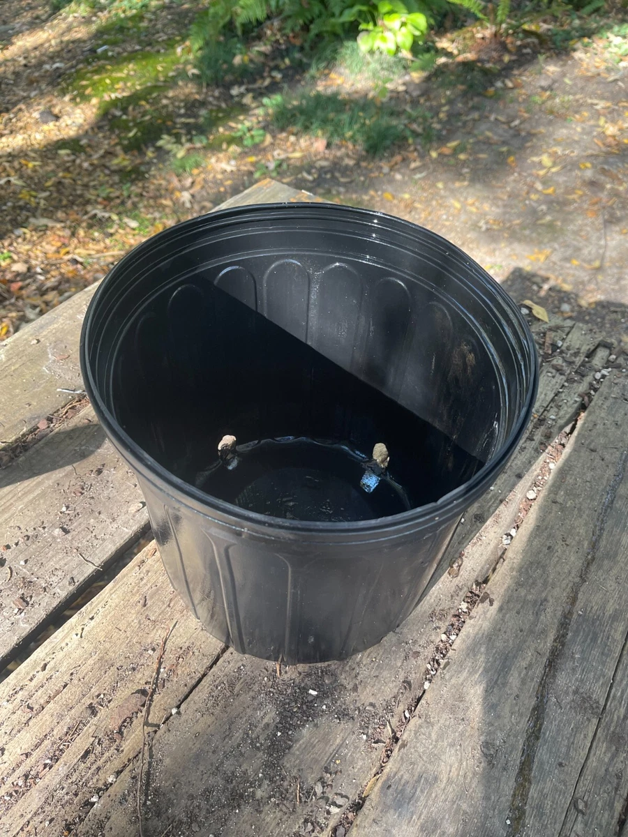 3 gallon pot deals