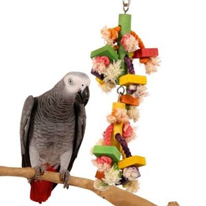 caique toys
