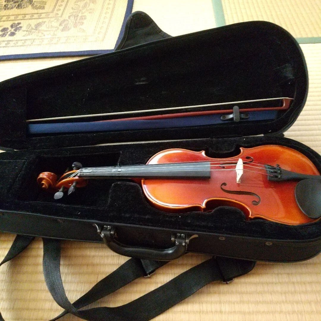 SUZUKI Violin No.230 1/4 w/Hard case | eBay