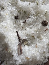 HERBALIST’S HOLLOW BATH SALTS | Bay Laurel, Galbanum & Angelica