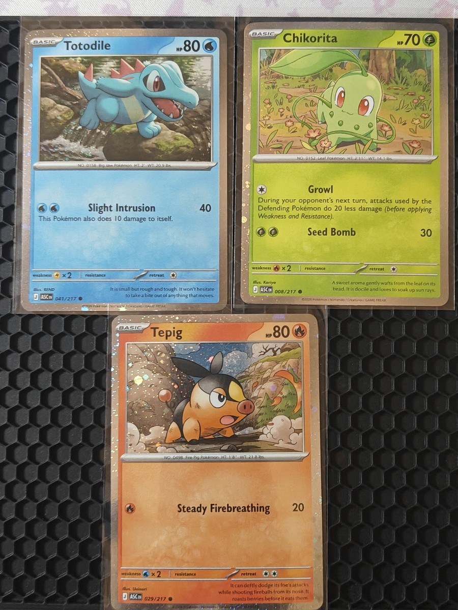 Pokemon Ascended Heroes Tepig Totodile Chikorita 3 STARTER Cosmos
