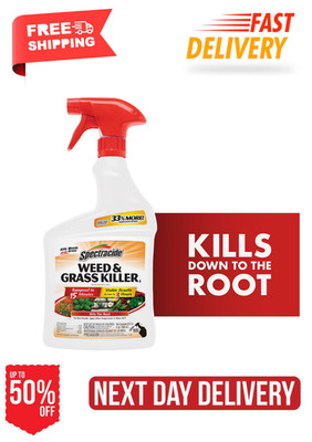 Weed and Grass Killer, Use on Patios, Walkways and Driveways, 32 Ounces