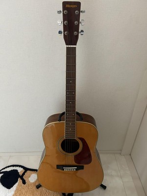 Acoustic Guitar Morris MD251 N Natural Color with Accessories