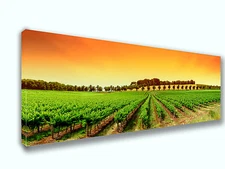 Napa Valley California Panoramic Canvas Print Art Home Decor Wall Art