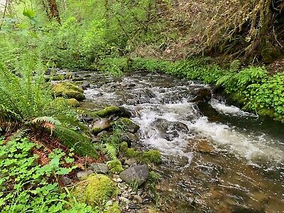 Buy 20 ACRE RECREATIONAL UNPATENTED PLACER GOLD MINING CLAIM - SOUTHERN OREGON
