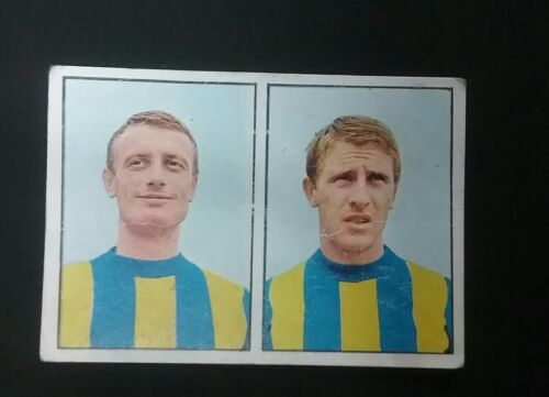 Panini 1965/66 VERONA Maschietto / Dell'Angelo footballer figure recovered - Picture 1 of 2