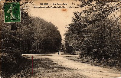 CPA BOURG Ein Unterholz Ansicht im Wald von Seillon (382580)