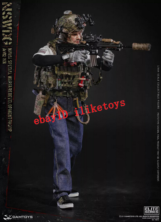 DAMTOYS NSWDG Naval Special Warfare Development Group 1/6