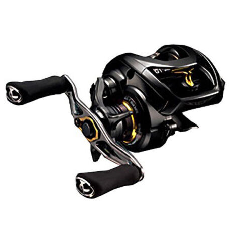 Daiwa STEEZ SV TW 1016-SV-H Baitcasting Reel Made in Japan | eBay