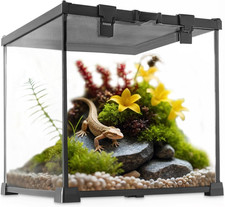 Mini Reptile Glass Terrarium Vivarium 12'' X 12'' X 12'' Full View Tank Small Am