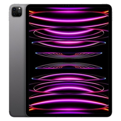 Apple iPad Pro 12.9 6thGen WiFi + Cellular Unlocked 256GB Space Gray (Excellent)