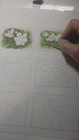 ACEO | Original 3.5"x2.5" | Magnolia 2 | Watercolor & Pen | by Bonnie Buchanan — photo 2