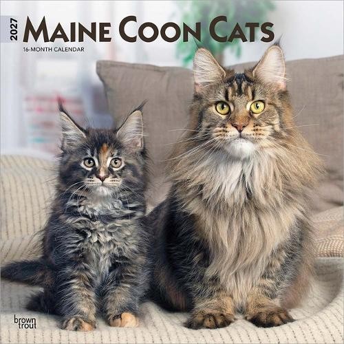 Maine Coon Cats 2027 12 X 24 Inch (Hanging) Monthly Square Wall Calendar Plastic-Free Browntrout - Image 3