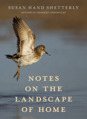 Notes on the Landscape of Home: Thoughts on the Landscape of Home HARDCOVER  ...