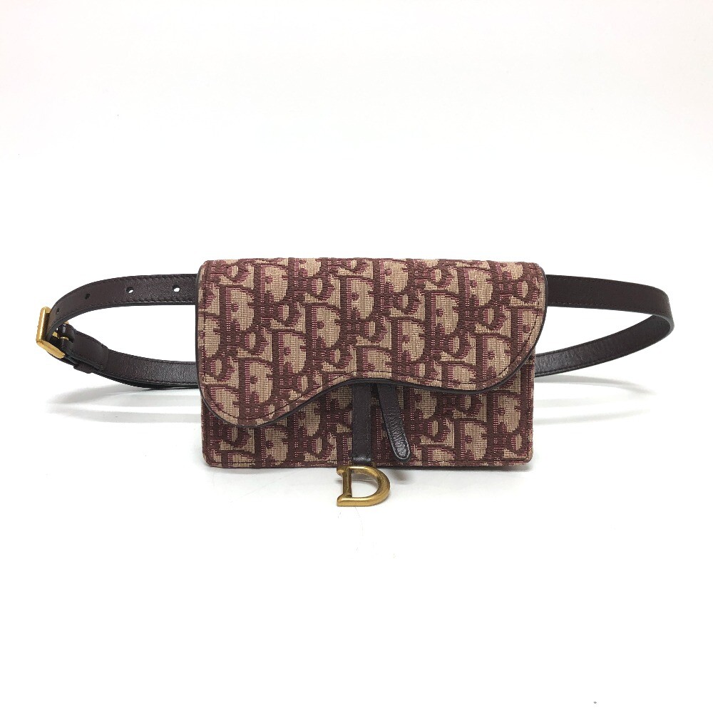Christian Dior Trotter SADDLE belt pouch Waist pouch body  display picture 3