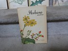 VTG 1970s Ikebana Japanese Flower arranging magazine lot #30-35,37-39,41-43&47 — photo 5