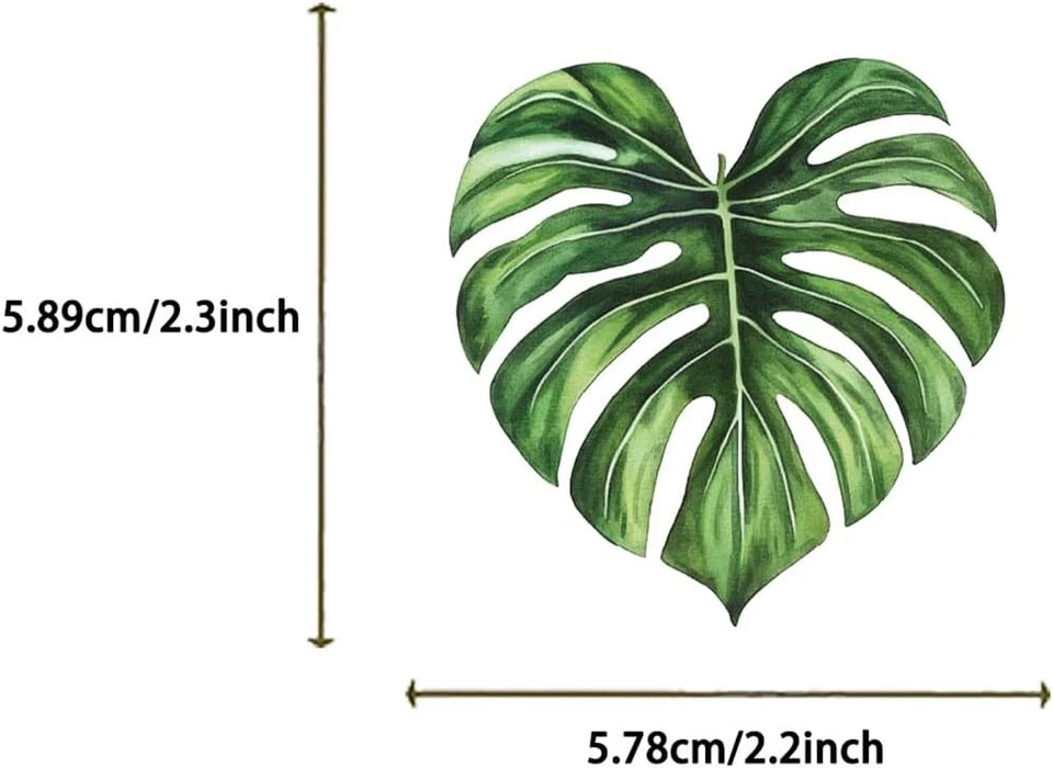 50pcs Transparent Green Leaf Sticker for Scrapbooking PET Nature Stickers Sticke - Image 4 of 4