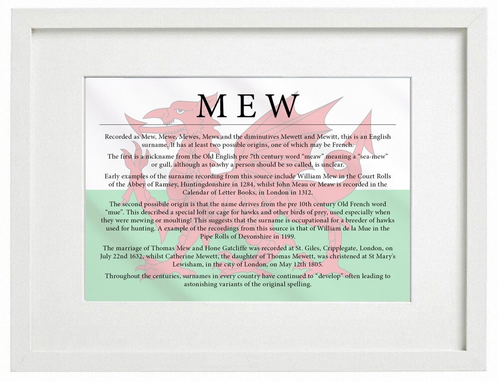 Western Cape Beamish Beach Buggy For Sale Surname Meaning History