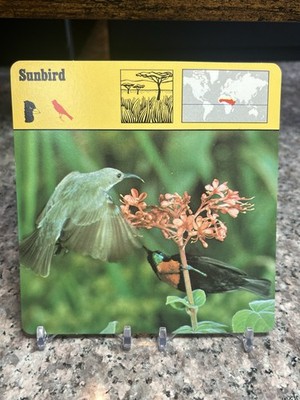 Sunbird, 1977 Editions Recontre 4 3/4'' x 4 3/4'' Card